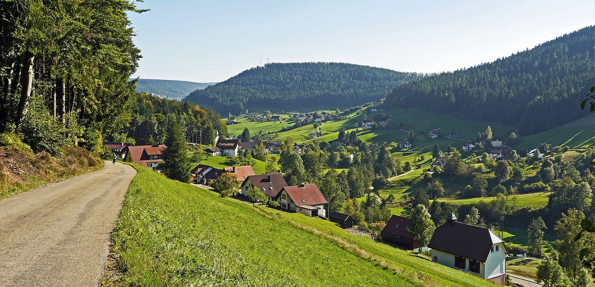 Fernblick auf bewaldete Schwarzwaldhügel nahe Baiersbronn mit Streuobstwiesen im Tal.