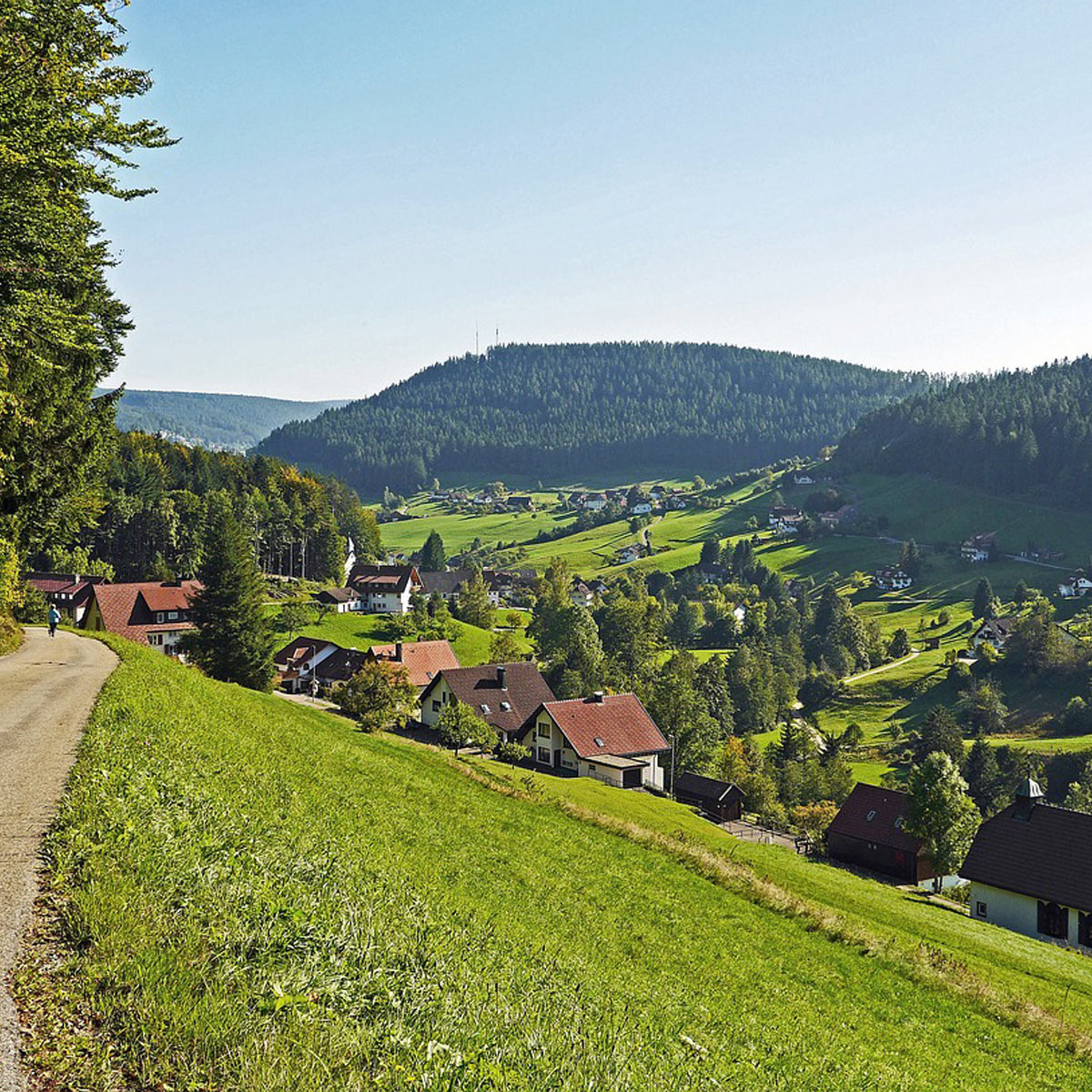 Fernblick auf bewaldete Schwarzwaldhügel nahe Baiersbronn mit Streuobstwiesen im Tal.