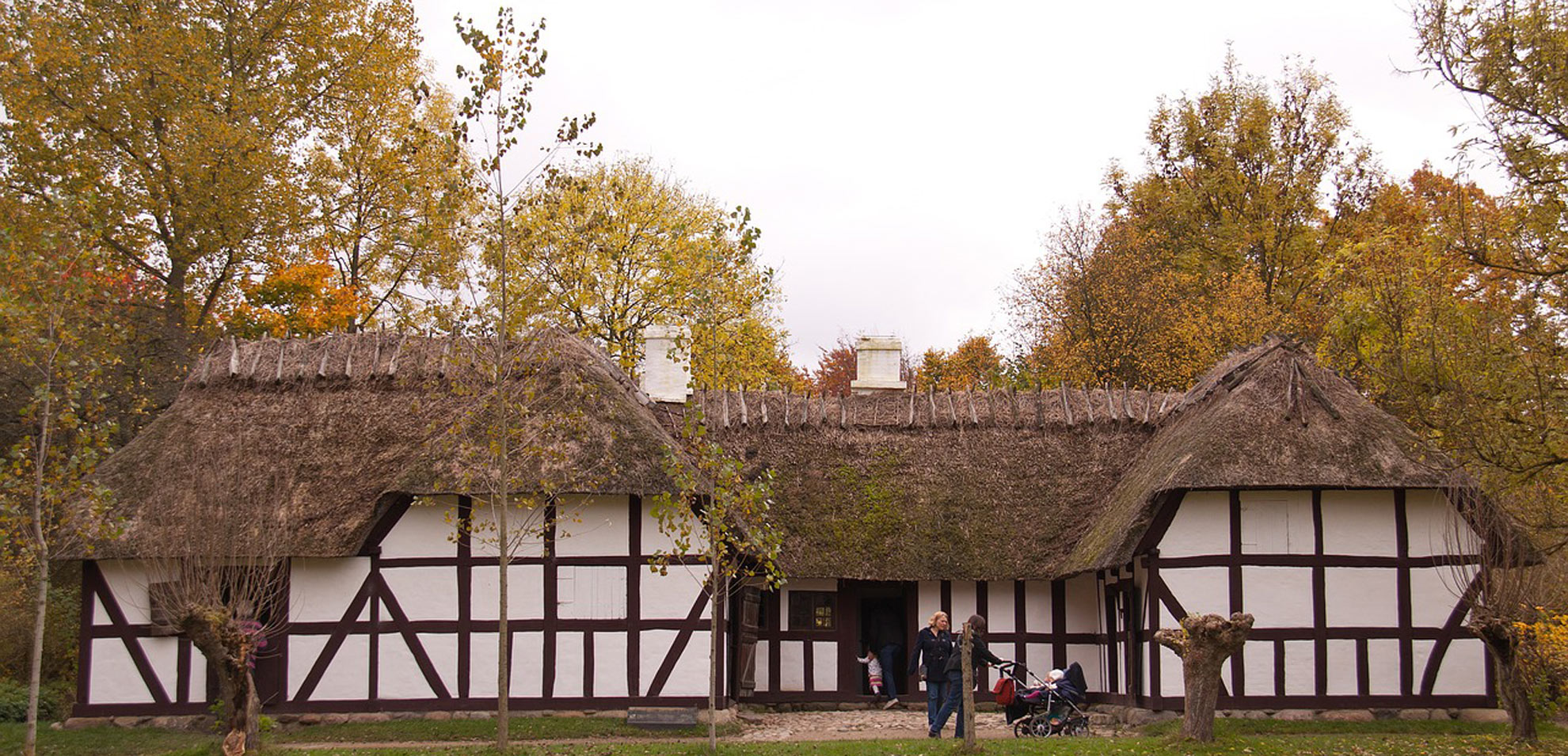 Historisches Reetdachhaus im Freilichtmuseum auf einer Wiese mit Bäumen im Hintergrund.
