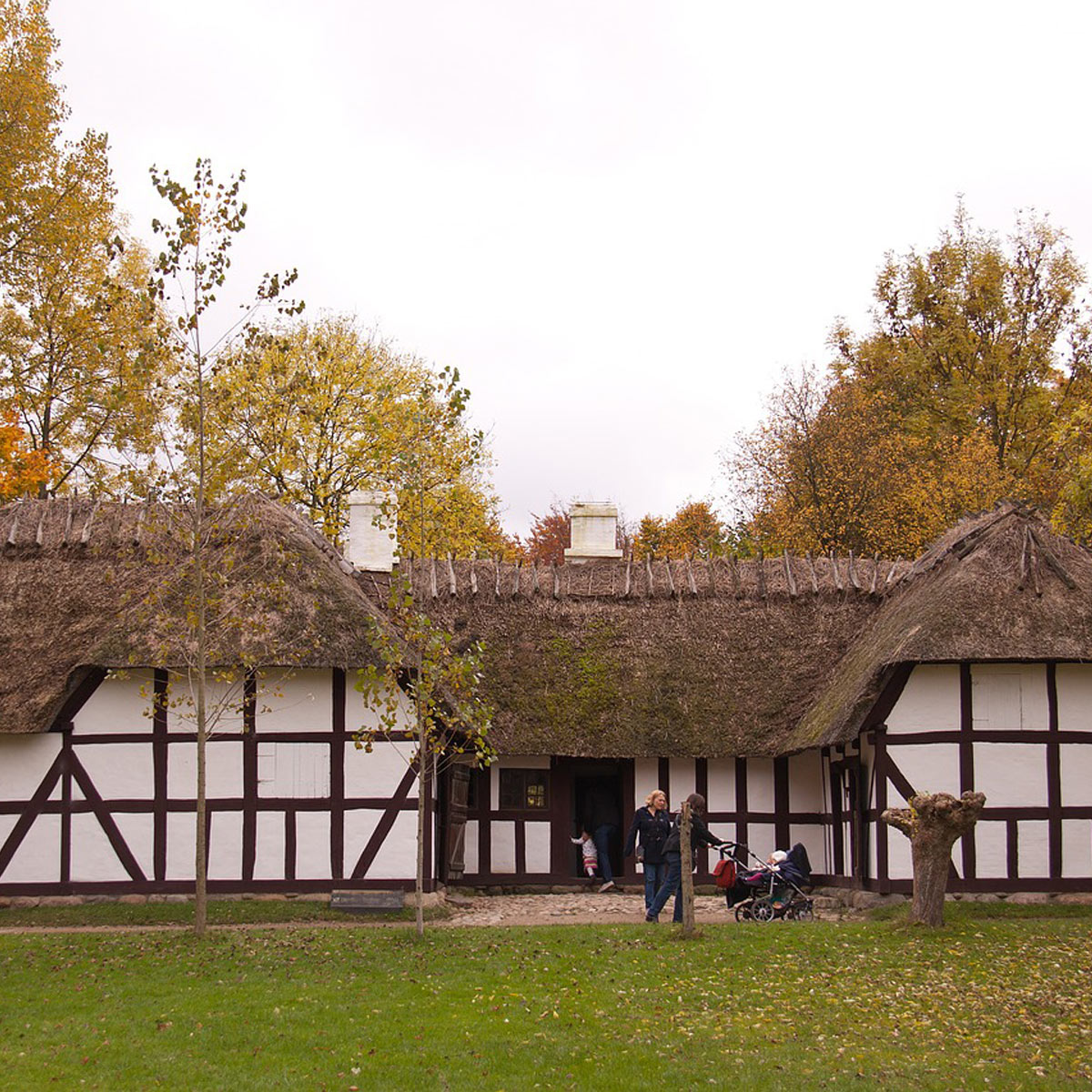 Historisches Reetdachhaus im Freilichtmuseum auf einer Wiese mit Bäumen im Hintergrund.