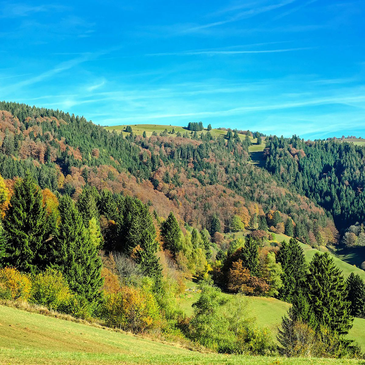Weite Hügellandschaft mit bewaldeten Hängen, Wiesenflächen und blauem Himmel.