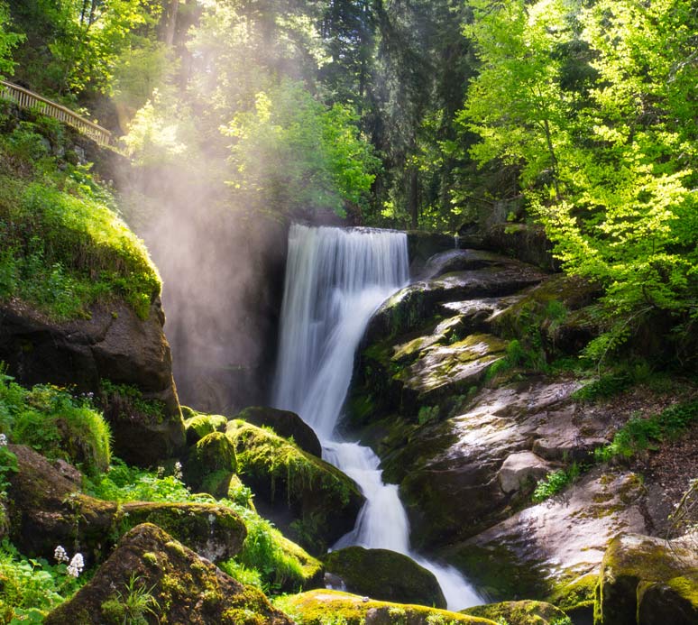 Wasserfall mit zwei Kaskaden, umgeben von dichtem Grün und Felsen im Vordergrund.
