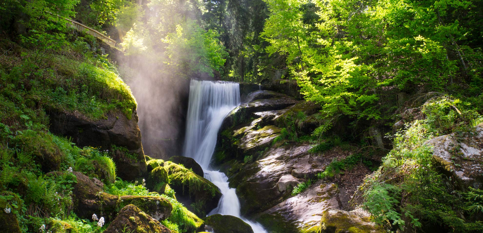 Wasserfall mit zwei Kaskaden, umgeben von dichtem Grün und Felsen im Vordergrund.