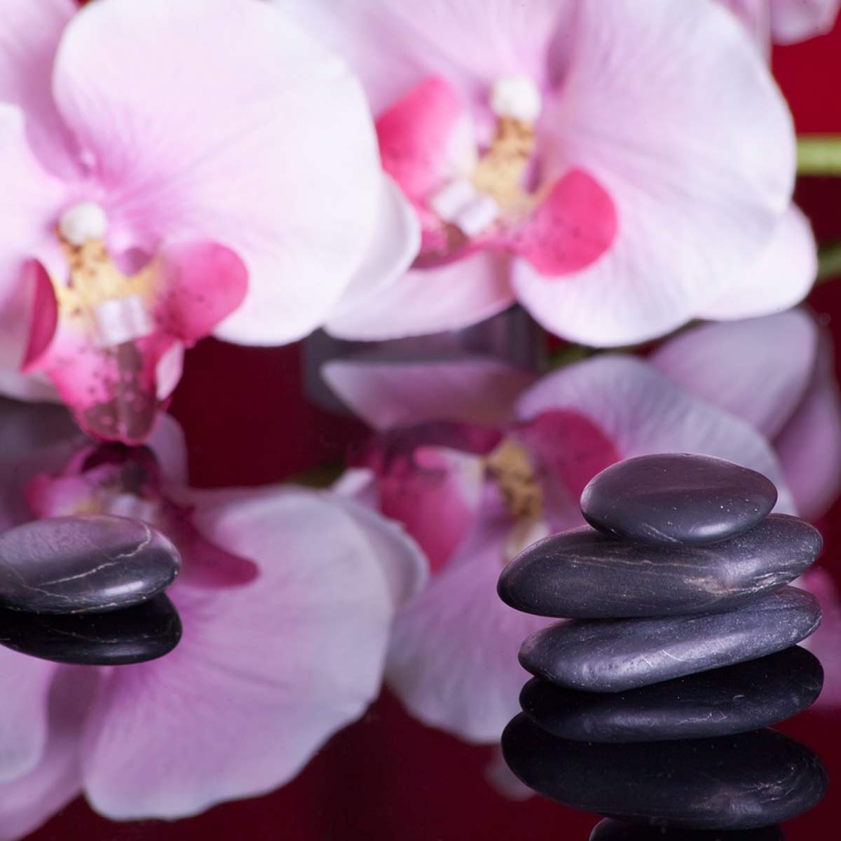 Drei rosa Orchideen und mehrere schwarze Spa-Steine, dekorativ arrangiert mit leicht verschwommenem Hintergrund.