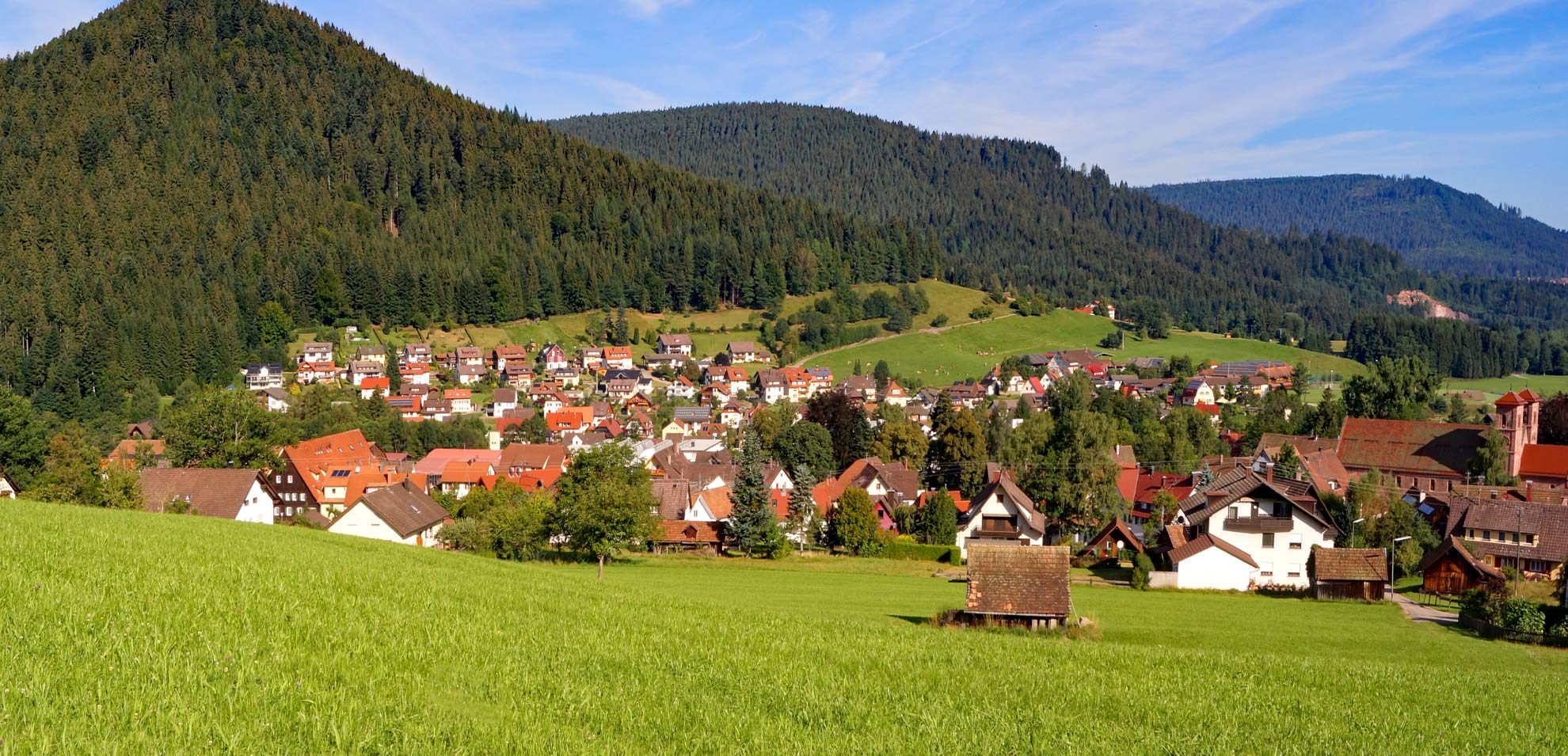Panoramaaufnahme eines Schwarzwaldtals mit grünen Hügeln, verstreuten Häusern und Feldern unter blauem Himmel.